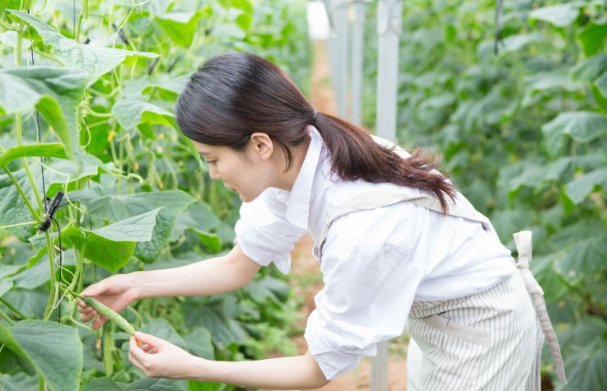 "115년된 폐가 4500만원에 구입한 MBC피디", 나영석처럼 해보려고 전 재산 다털어 넣은 현재 상황