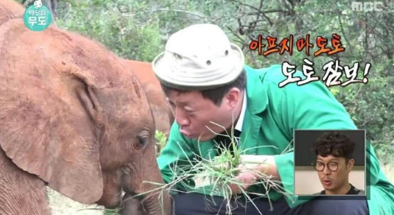 무한도전에서 정준하가 돌보던 아기코끼리, '아프지마 도토' 네티즌들 뭉클하게 한 사연