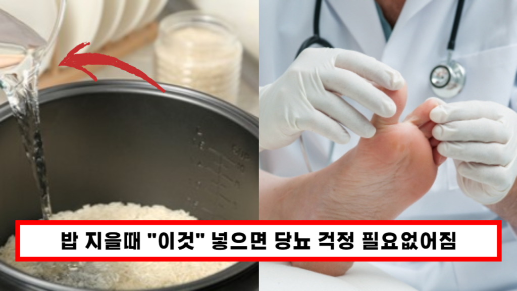 "혈당이 오르는 것을 막아 당뇨를 예방" 밥맛도 맛있어지고 건강도 지켜주는 밥 지을때 넣어야하는 '이것' "혈당이 오르는 것을 막아 당뇨를 예방" 밥맛도 맛있어지고 건강도 지켜주는 밥 지을때 넣어야하는 '이것'