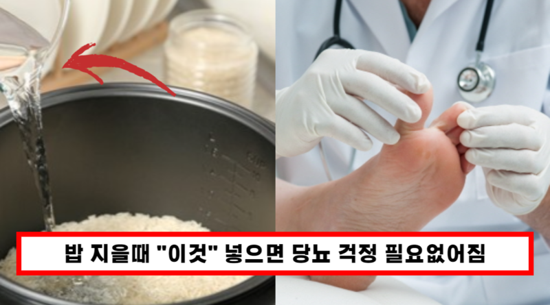 "혈당이 오르는 것을 막아 당뇨를 예방" 밥맛도 맛있어지고 건강도 지켜주는 밥 지을때 넣어야하는 '이것'