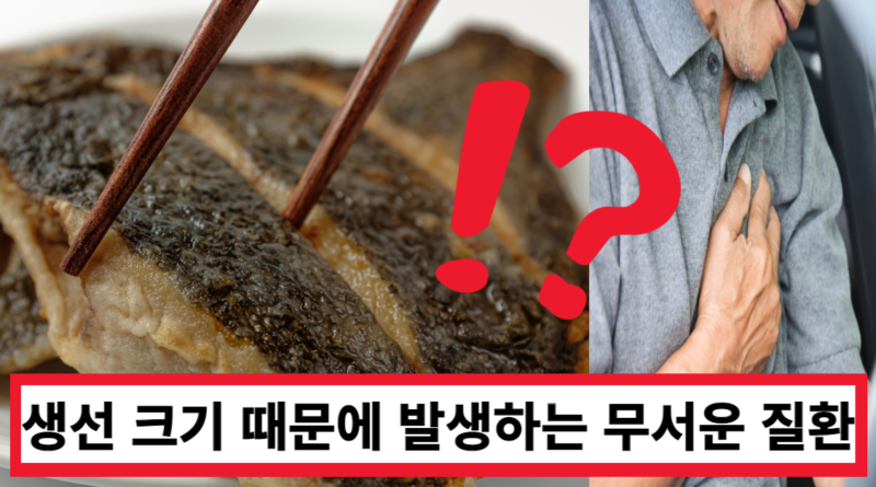 커다란 생선을 먹으면 안되는 이유