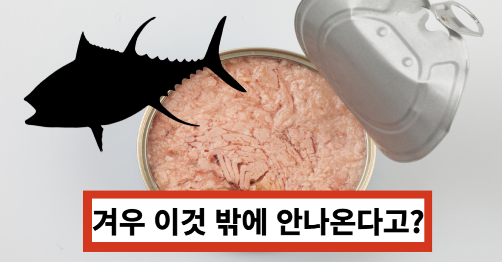 참치 한 마리로 만들어지는 참치캔의 개수