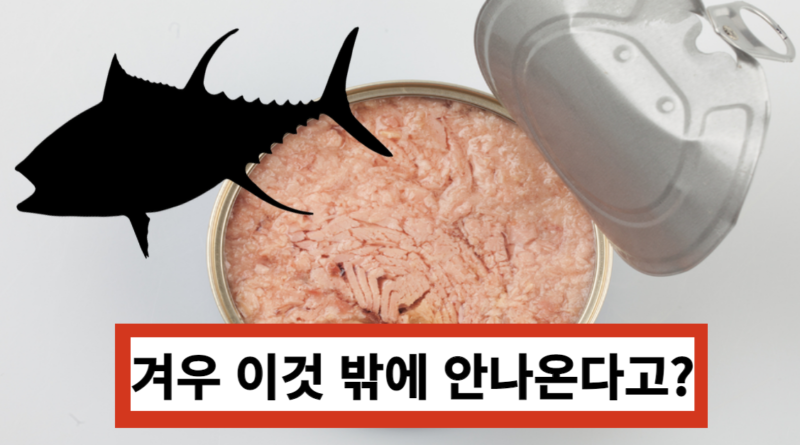 참치 한 마리로 만들어지는 참치캔의 개수