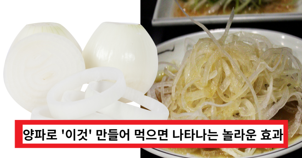 유산균양파 만드는 방법 및 효능 유산균양파 만드는 방법 및 효능