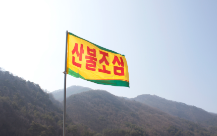 산불 재난지원금 대상 및 신청 방법 지급 금액