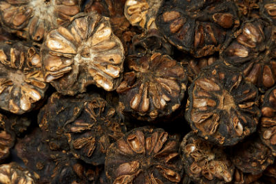 노니 효능 알아보기