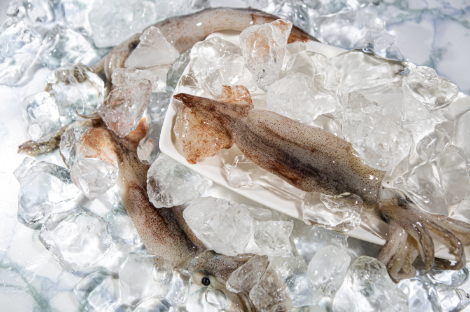 오징어 주요 효능 및 건강하게 먹는 방법