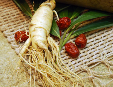 여름철 기력회복에 좋은 추천 보양식 5가지