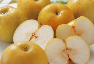 9월 제철 대표음식