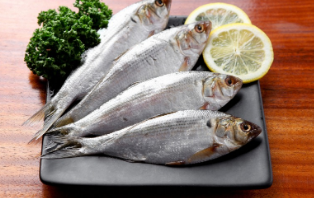 9월 제철 대표음식