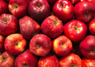 9월 제철 대표음식