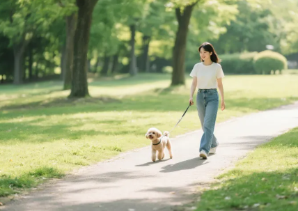 일상에서 실천하는 몸과 마음의 균형이 맞는 건강한 생활 습관