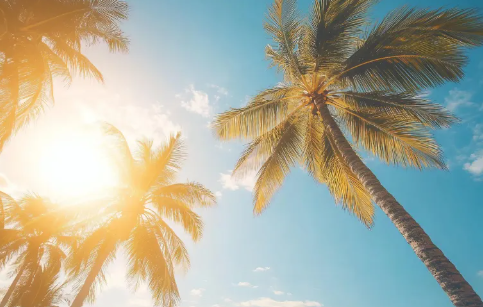 2025년 트렌드 기후감수성 라이프스타일 특징 5가지