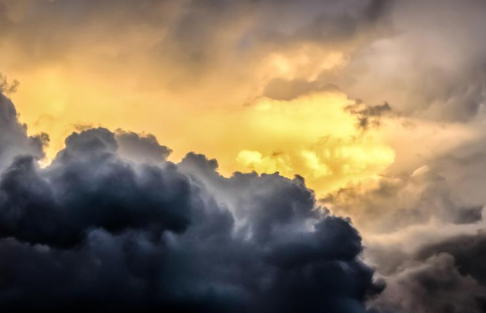 2025년 트렌드 기후감수성 라이프스타일 특징 5가지