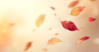 가을 환절기 건강 관리 방법