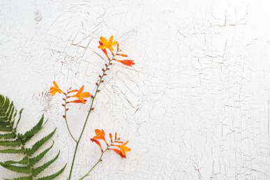 나비존 모공 관리: 레티놀의 효과