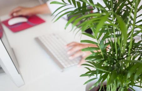 워드프레스 애드센스 승인 후기 2026년 기준, 2주 걸려 한 번에 승인된 과정